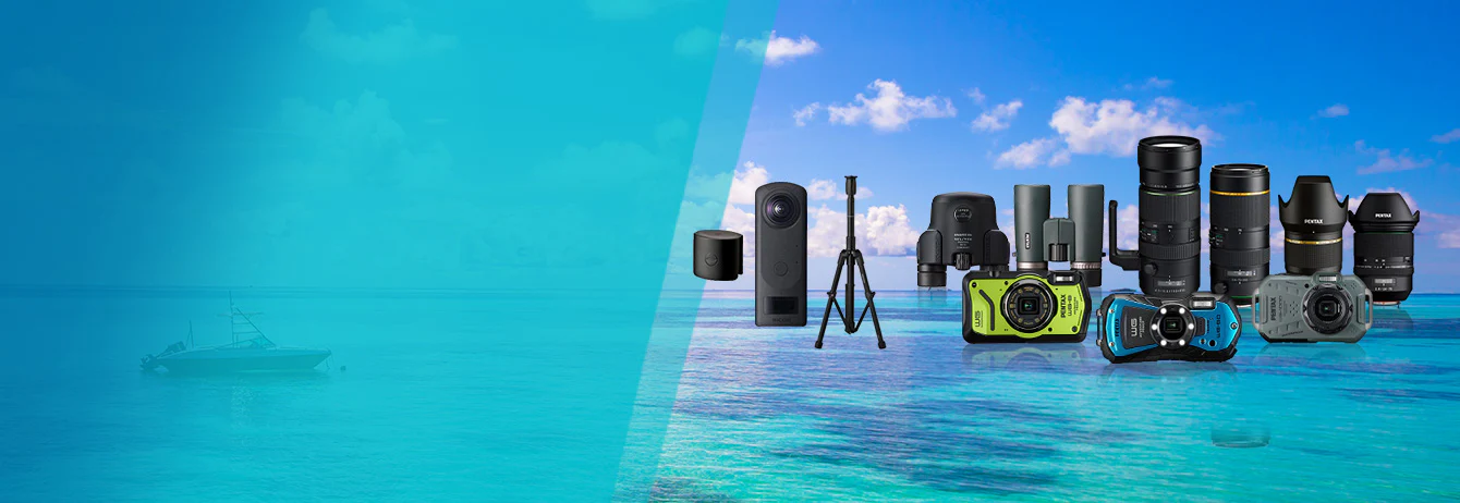 Capture the World in Detail